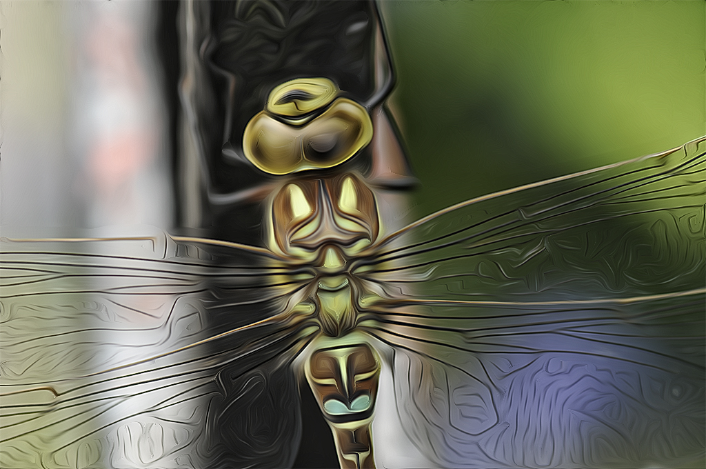 001 Tiere Makro LibelleD31_8013 Kopie.jpg